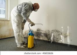 Trusted Woodlawn Beach, FL Mold Removal Services Experts